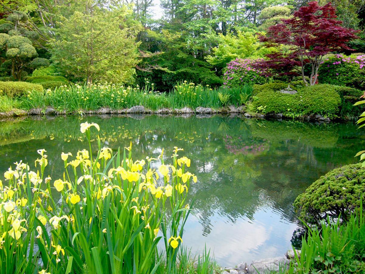 Hotel Garden Palace Kumagaya Zewnętrze zdjęcie