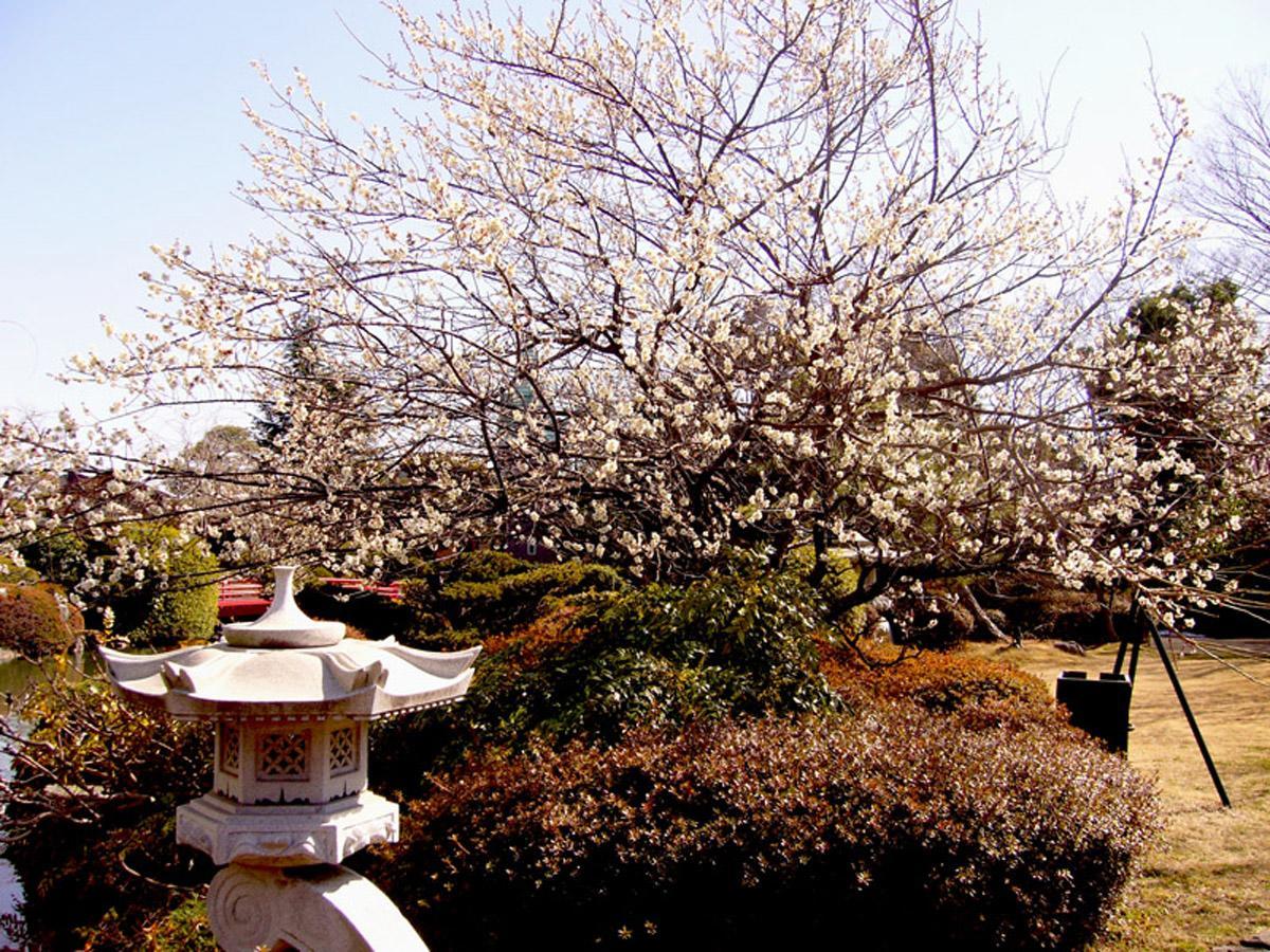 Hotel Garden Palace Kumagaya Zewnętrze zdjęcie